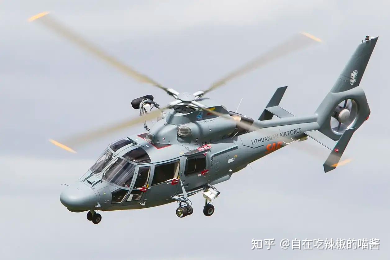 西班牙主教练战术高明，立陶宛队绝杀无望,比赛实力悬殊引人深思的简单介绍